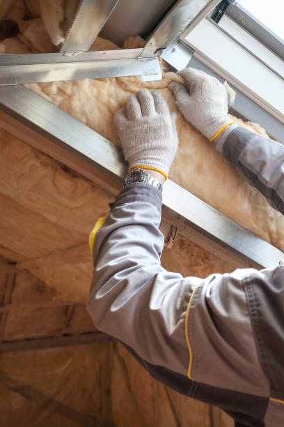 Best Residential Insulation in Regency At Monroe, NJ